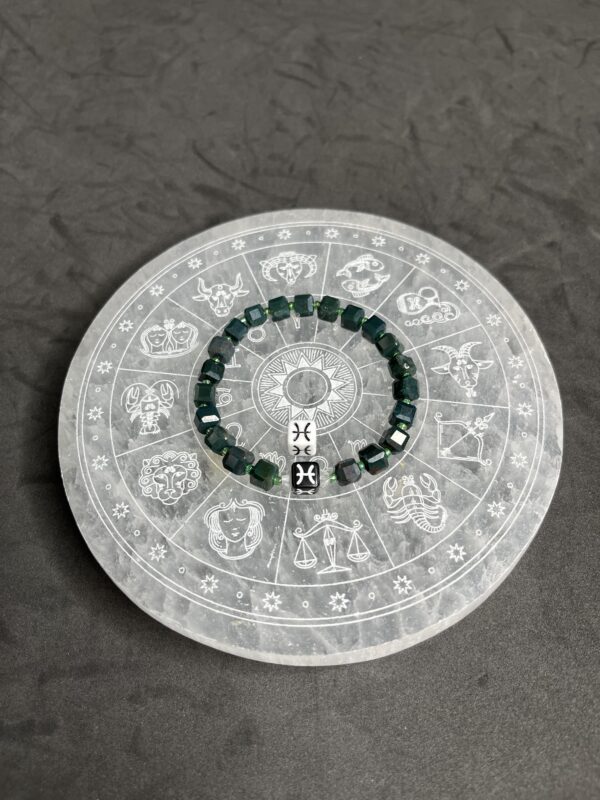 Pisces Zodiac-Bloodstone
