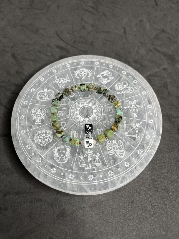 Capricorn Zodiac-Snowflake Turquoise